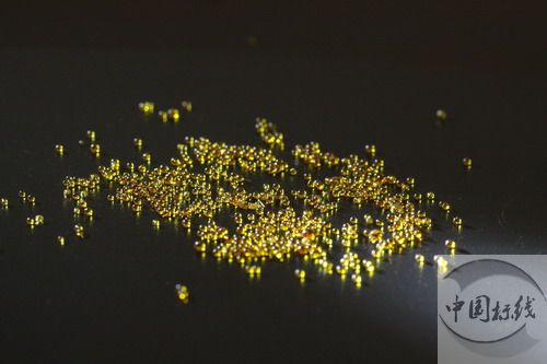 海珠市政道路标线施工现场